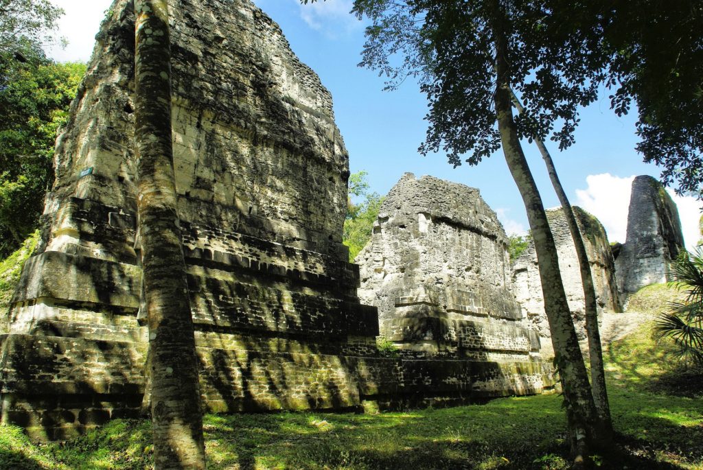 Combien coûte l’entrée à Tikal Guatemala ?