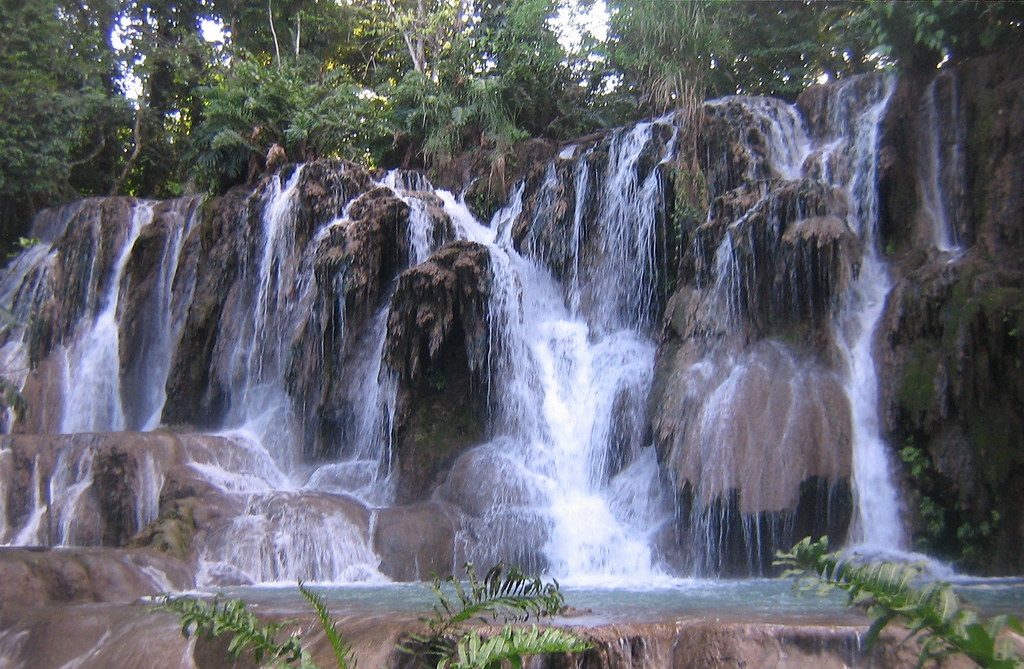 Réserve écologique de Villa Luz à Villahermosa