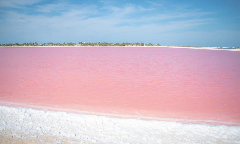 Las Coloradas, Yucatan