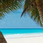 La partie sud-est du Mexique est située sur les rives des Caraïbes, mais le Mexique fait-il vraiment partie des Caraïbes ? Si vous me demandez, je dirais "oui", car la plage, le climat et les eaux bleues et limpides sont presque identiques, mais qu'en est-il officiellement ? Nous allons le découvrir... Le Mexique est-il considéré comme faisant partie des Caraïbes ? Oui, la côte sud-est du Mexique (Quintana Roo) fait partie des Caraïbes. Cozumel, Cancun et la Riviera Maya sont des destinations populaires sur la côte caraïbe du Mexique. Il n'a pas été facile de trouver un accord sur les îles et les pays qui sont considérés comme faisant partie des Caraïbes et ceux qui ne le sont pas. En fait, il n'y a pas d'accord, et il n'y a pas non plus beaucoup de données scientifiques. J'ai donc décidé de me tourner vers d'autres sources de confiance : les dictionnaires. Avant de me tourner vers les dictionnaires pour déterminer si le Mexique faisait partie des Caraïbes, j'ai parcouru les sources scientifiques pour obtenir leur point de vue sur la question. Mes recherches "scientifiques" J'ai appris un nouveau terme : les régions physiographiques. Si je me plongeais dans les régions physiographiques du monde, je découvrirais sûrement des zones spécifiques, dont les Caraïbes. Malheureusement, c'était une impasse. J'ai appris l'existence de montagnes et de rivières, et c'est tout. J'ai continué à creuser mais je n'ai trouvé aucune clarté officielle et scientifique sur ce qui est ou n'est pas considéré comme faisant partie des Caraïbes. De nombreux pays ont leur propre opinion sur la question de savoir s'ils sont considérés comme faisant partie des Caraïbes ou non, mais je n'ai pas pu trouver de preuves pour étayer leur affirmation. Par exemple, Turks et Caicos, qui est situé juste au sud-est des Bahamas, déclare ce qui suit sur son site Web : Une idée fausse très répandue est que les Turks et Caicos font partie des Caraïbes. C'est techniquement faux, car notre pays est considéré comme faisant partie de l'archipel des Lucayes avec la chaîne d'îles des Bahamas, adjacente au nord des Caraïbes. - visittci.com Je ne sais pas pourquoi ils font cette remarque, car faire partie des Caraïbes, c'est de la bombe ! Sérieusement, c'est comme dire "Je ne suis pas vraiment une personne intelligente, je suis plutôt stupide". Quoi qu'il en soit, étant donné le manque d'informations scientifiques et officielles, je me suis référé à plusieurs dictionnaires pour établir une réponse à la question "le Mexique est-il considéré comme faisant partie des Caraïbes ?". La plupart des définitions des dictionnaires s'accordent à dire que les pays ou les îles situés à l'intérieur ou autour des côtes de la mer des Caraïbes font partie des Caraïbes. L'avis des dictionnaires Il semble que la définition selon les dictionnaires soit que la zone située à l'est du golfe du Mexique ainsi que celle au sud de la péninsule de Floride et celle au nord de l'Amérique du Sud ont toutes un climat tropical similaire et font partie des Caraïbes. Les Caraïbes mexicaines Je ne peux pas m'attribuer le mérite d'avoir inventé l'expression "Caraïbes mexicaines", mais elle est appropriée, alors je vais l'utiliser. Les Caraïbes mexicaines abritent de nombreuses villes balnéaires populaires. Les plages sont magnifiques, l'eau claire et bleue, la culture est riche en histoire, en nourriture et en art. Je vais dans les Caraïbes mexicaines depuis plus de 20 ans et je peux vous dire sans hésiter que l'environnement est tout à fait caribéen. C'est un endroit relaxant, mais qui offre de nombreuses possibilités de profiter de l'eau, comme la plongée en apnée, la plongée sous-marine, le parapente, la voile, la natation avec les dauphins, etc. Les Caraïbes mexicaines comptent également certains des sites historiques les plus étonnants, notamment les ruines mayas de Tulum et Xcaret, un site archéologique de la civilisation maya situé plus au sud. De nombreuses personnes se rendent à l'intérieur des terres pour voir comment sont fabriqués la tequila et les cigares. Cancun, le long des Caraïbes mexicaines L'un des lieux de vacances les plus populaires au monde se trouve dans les Caraïbes mexicaines. Cozumel - Une île le long des Caraïbes mexicaines Cozumel est une île mexicaine populaire qui est clairement située dans la mer des Caraïbes. Isla Mujeres - Une île des Caraïbes mexicaines Juste au nord-est de Cancun se trouve une charmante petite île mexicaine appelée Isla Mujeres, située le long de la côte caraïbe mexicaine. La Riviera Maya longe les Caraïbes mexicaines La Riviera Maya constitue la plus grande partie des Caraïbes mexicaines. Les villes balnéaires les plus populaires sont Puerto Morelos, Playa del Carmen, Akumal et Tulum. Les Keys (archipel de Floride) font-elles partie des Caraïbes ? Puisque nous parlons de ce sujet, qu'en est-il des Florida Keys ? Font-elles partie des Caraïbes ? Après tout, elles sont situées sur la côte de la mer des Caraïbes. De plus, si vous avez déjà visité les Florida Keys, vous savez que le climat et l'ambiance tropicale sont les mêmes que ceux des autres destinations largement reconnues comme faisant partie des Caraïbes, telles que la Jamaïque, les îles Caïmans et la République dominicaine. Par conséquent, je considère que les Florida Keys font officiellement partie des Caraïbes. Les Bahamas font-elles partie des Caraïbes ? Sur la seule base de la carte, les Bahamas ne font pas partie des Caraïbes puisqu'elles se trouvent dans l'océan Atlantique, tout comme les îles Turks et Caicos. Pourtant, nous les considérons toujours comme faisant partie des Caraïbes. Comme vous pouvez le constater, bien qu'il n'y ait pas de réponse claire, définitive et scientifique à la question "le Mexique fait-il partie des Caraïbes", à toutes fins utiles, la réponse est oui. Vous pouvez passer des vacances pleines d'une ambiance insulaire, d'un climat tropical et d'une culture riche de ses habitants dans les Caraïbes mexicaines, comme dans n'importe quelle autre île située en plein milieu de la mer des Caraïbes.