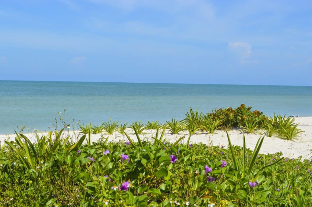 Plage Celestun, Yucatan