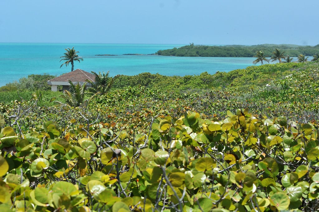 Ile de Contoy au Mexique