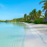 Isla Contoy | Le guide | Réservation en ligne