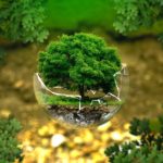 Arbre de vie