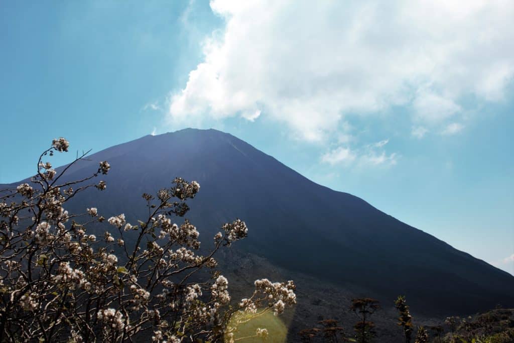 Volcan Pacaya Guatemala