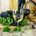 Pourquoi visiter le vignoble du Mexique ?