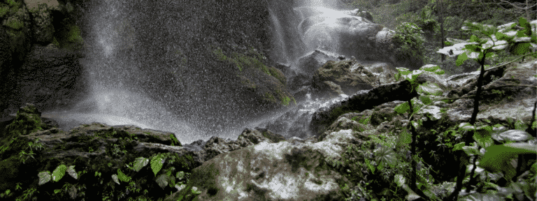 Le Mexique est un endroit magnifique où profiter d’incroyables randonnées en pleine nature. Dans cet article, nous allons vous présenter un superbe endroit : El Aguacero alliant cascades et canyons. À la fin de cette lecture, vous n’aurez plus qu’à remplir de provisions votre sac à dos isotherme pour pique-nique Healthy Lunch et vous serez prêt à partir pour une excursion en pleine nature ! Que vais-je découvrir à El Aguacero ? Le paysage, le paysage, le paysage ! Très peu d'endroits sur Terre vous laisseront émerveillés comme celui-ci. La végétation verte de la jungle, les chutes d'eau et la rivière forment un décor étonnant. Du simple aventurier au photographe professionnel en passant par le randonneur passionné, cet endroit a quelque chose à offrir à chacun. Vous verrez probablement des oiseaux exotiques voler autour de vous ! El Aguacero est le canyon le plus mystique abritant des chutes d'eau que vous n’avez jamais vues. Imaginez le parc national de Zion et Havasupai, dotés d’une jungle verdoyante : imaginez maintenant un canyon avec 724 marches qui descendent en lacets jusqu'au fond du canyon, où coule une rivière d'eau chaude. Une fois au fond, les parois du canyon s'élèvent de part et d'autre de vous de manière stupéfiante. Une série de cascades se déversent d'un côté du canyon à travers la végétation verte luxuriante, ce qui en fait l'un des endroits les plus incroyables que l'on puisse imaginer. Où est situé El Aguacero ? La ville d'Ocozocoautla est située à 92,5 km à l'ouest de San Cristobal De Las Casas, la ville centrale de départ pour la plupart des voyageurs, sur l'autoroute 190D. Depuis Ocozocoautla, parcourez environ 15 km jusqu'à l'embranchement pour El Aguacero (Chiapas). La route est dotée d'une signalisation claire indiquant aux visiteurs la bonne direction. Une fois à la sortie, la route devient en terre, mais elle est suffisamment bien entretenue pour ne pas avoir besoin d'un 4x4. Suivez cette route pendant 3 km jusqu'à l'entrée d'El Aguacero. Combien coûte l’entrée à El Aguacero ? L'entrée du site coûte 30 pesos par personne, et 50 pesos supplémentaires par groupe si vous choisissez de camper. Le petit champ herbeux et le terrain en terre battue en haut de l'escalier sont l'endroit où vous pourrez camper, et où vous vous sentirez en sécurité la nuit. Que vous dormiez dans une voiture ou dans une tente, les deux sont autorisés. En outre, les chiens sont autorisés sur le site. Depuis le parking, vous descendez 724 marches jusqu'au fond du canyon où coule une rivière. Le niveau de la rivière dépend des précipitations récentes. Une fois en bas des escaliers, vous marchez 200 mètres vers la gauche jusqu'à la cascade. Au total, la randonnée vers le bas ne devrait pas prendre plus de 15 ou 20 minutes. Si vous arrivez le matin avant 9 ou 10 heures, vous devriez avoir l'endroit pour vous tout seul, ce qui est fortement recommandé. Vous pouvez vraiment vivre la magie d'El Aguacero quand vous êtes seul ou avec un ami. Vous pouvez escalader les rochers jusqu'à la cascade et vous tenir en dessous, et si vous êtes d'humeur à faire une plus longue randonnée, vous pouvez suivre le sentier de la rivière dans les deux sens, en montant et en descendant la rivière. Conclusion Si vous passez proches de Las Chapis, ne manquez pas El Aguacero qui est un petit coin de paradis au Mexique. Vous allez être émerveillés à coup sûr !