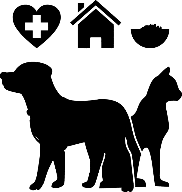 Mutuelle pour chien