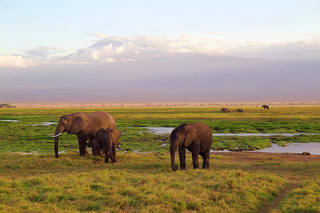 Kenya, 9ème plus beau pays du monde