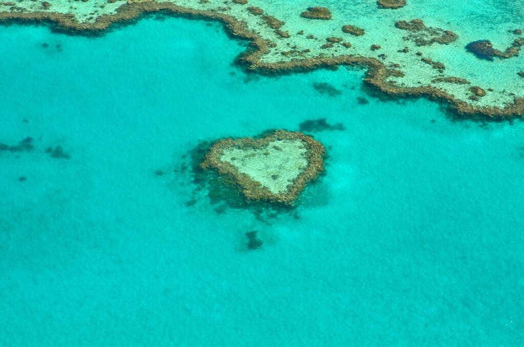 La grande barrière de corail en Australie