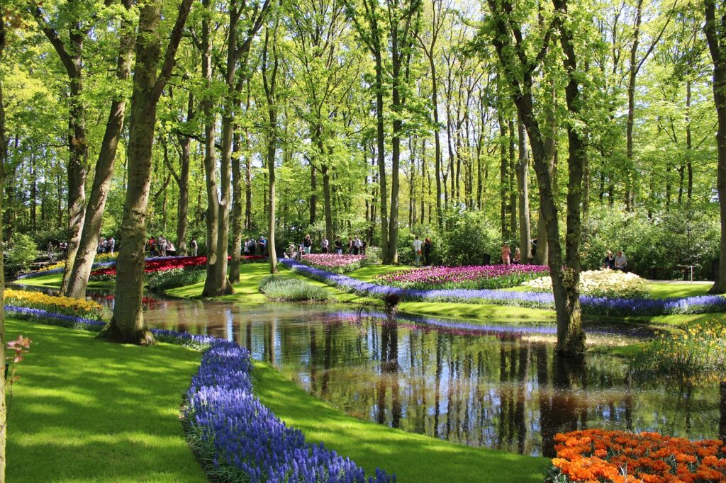 Les tulipes de Keukenhof Pays Bas