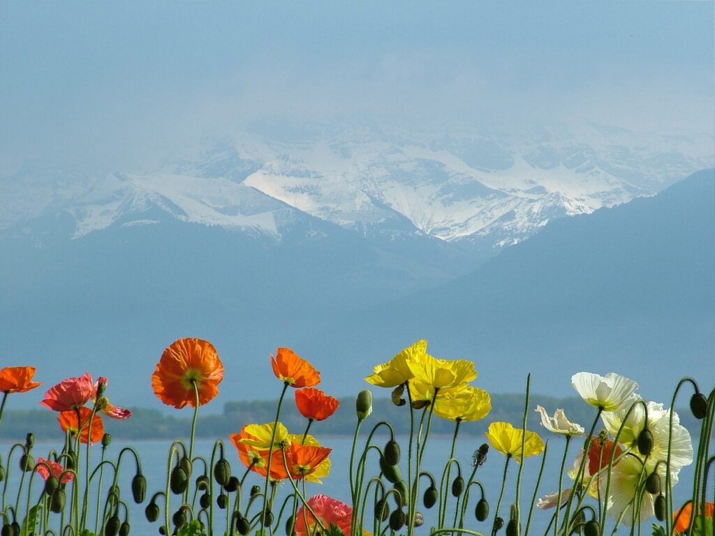 lac léman suisse