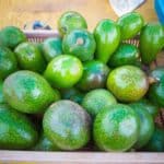 Avocat pour guacamole mexicaine