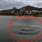La mystérieuse créature du barrage Madin