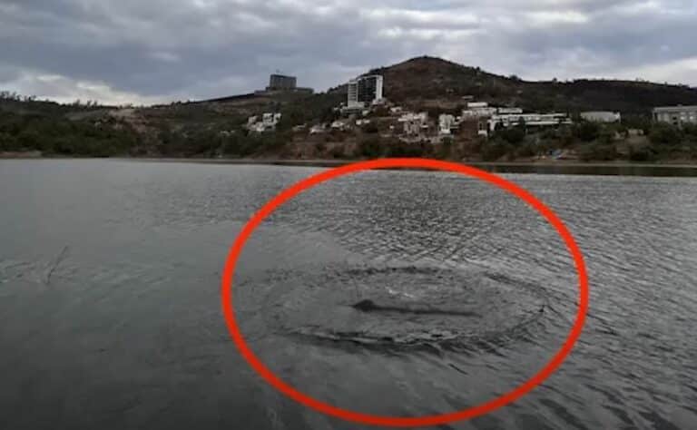 La mystérieuse créature du barrage Madin