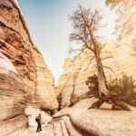 Randonnée au Mexique : Découvrez l'incroyable beauté naturelle du pays !