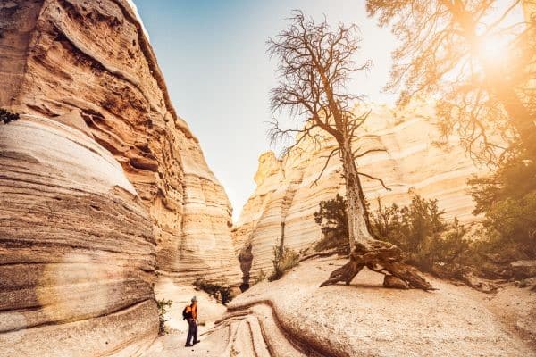 Randonnée au Mexique : Découvrez l'incroyable beauté naturelle du pays !