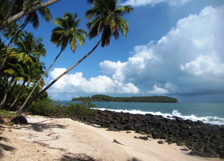 Vol de Guyane au Mexique