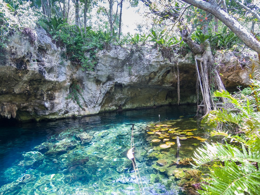 Visiter le Gran Cenote à Tulum