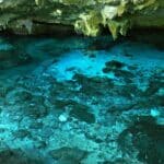 Tout savoir sur le Gran Cenote à Tulum
