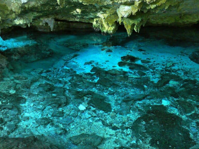 Tout savoir sur le Gran Cenote à Tulum