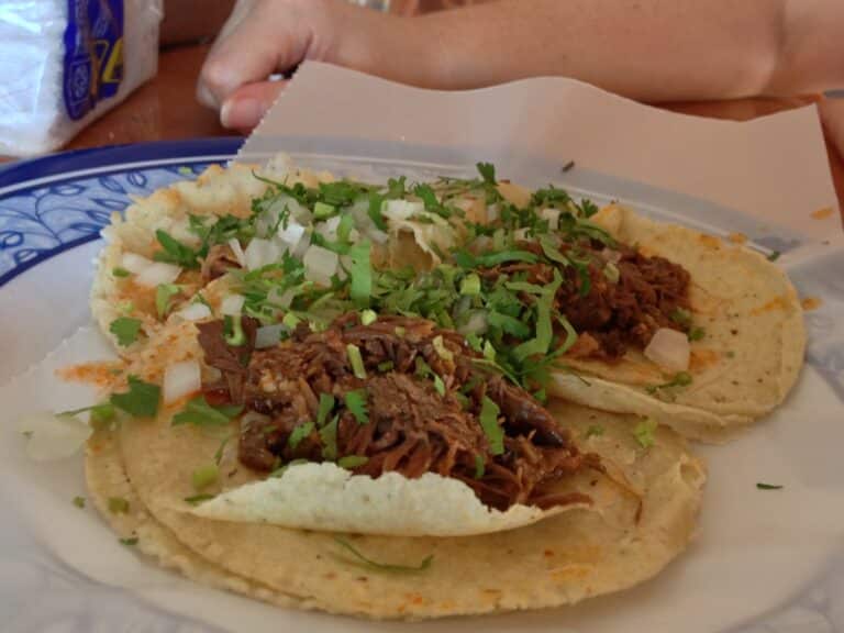 Qu'est-ce que la carne barbacoa ?